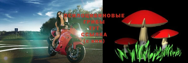 прущая мука Рославль